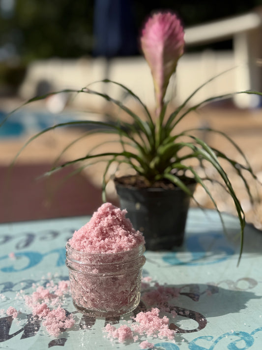 Candy Cane Crush Sugar Scrub